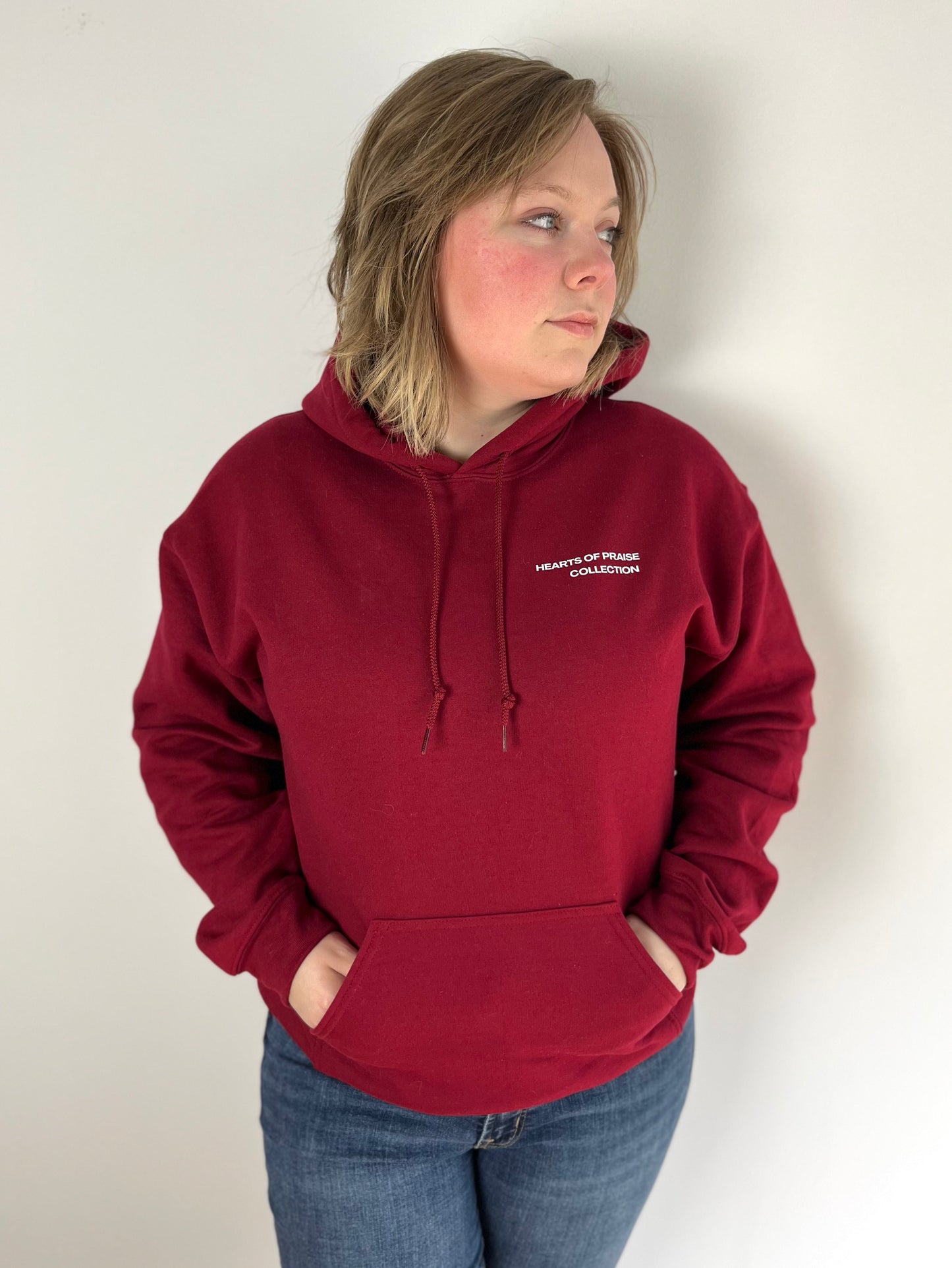 I Lift My Eyes To The Mountains Hoodie